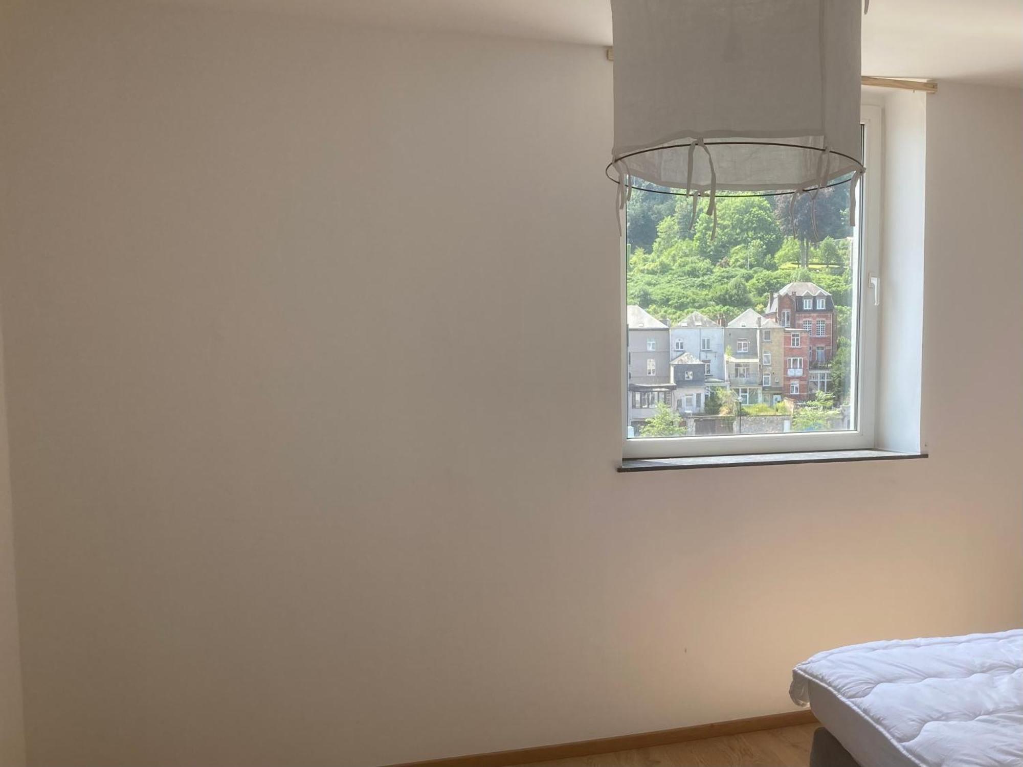 Les Terrasses De Sax Bed and Breakfast Dinant Buitenkant foto